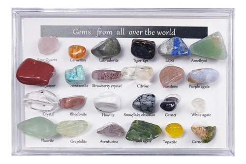 Caja De Colección De Rocas Y Minerales Con Geografía De 24