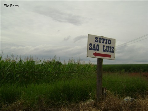 Imagem 18 de 18 de Sitio A Venda, Sitio São Luiz, Elias Fausto - St00044 - 1818833