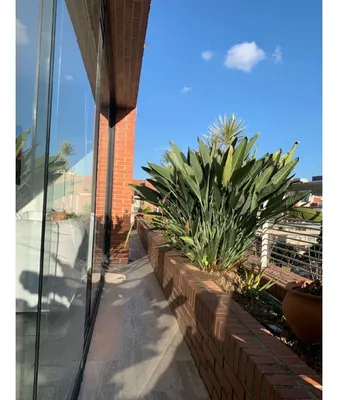 Apartamento en alquiler