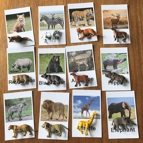 Lenguaje De Figuras De Animales Montessori Con Tarjetas Didá