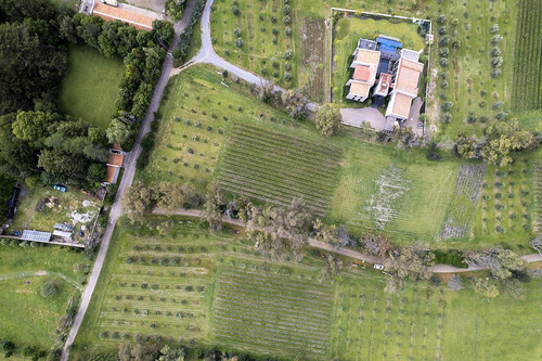 Lote En Venta En San Miguel De Allende: Viñedo San Lucas