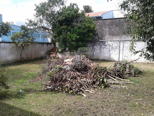 Imagem 6 de 11 de Terreno Bacacheri, 1000 M², Estuda 50% Em Permuta - Re61432240