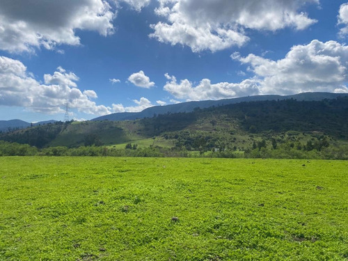 Terrenos De 20.000mts2 A 10 Km De Maitencillo