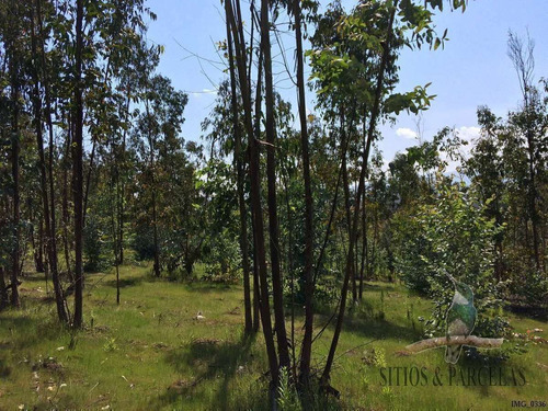 F-190 Valle Alegre, Quintero, 20.000m2