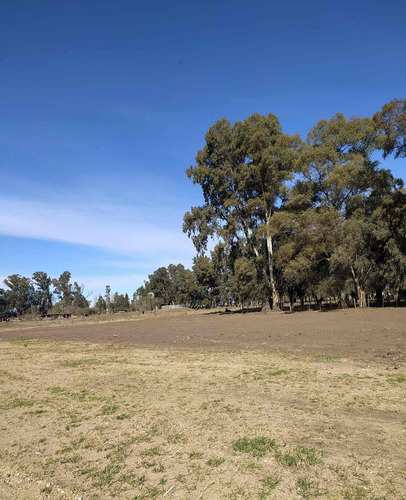 Imagen 4 de 7 de Lote Y Terreno En Venta En Cañuelas 900 M2