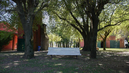 Imagen 10 de 23 de Campo Mixto De 95 Has - Antonio Carboni, Lobos