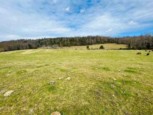 Se Vende Proyecto Aprobado Por Sag Panguipulli Los Lagos