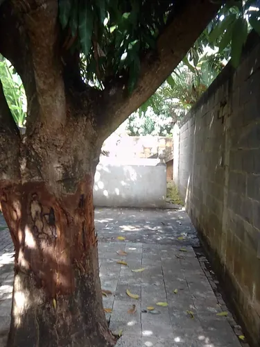 Casa En Venta - Charallave