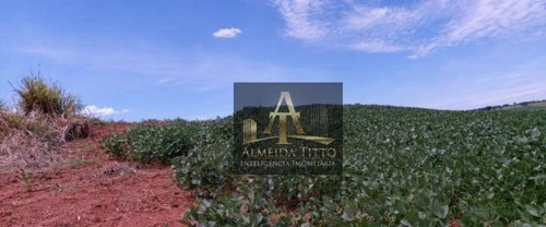 Imagem 16 de 26 de Excelente Fazenda Para Venda Na Cidade De Mogi Guaçu - Sp - Confira!!!! - Fa0025