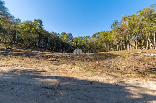 Imagem 4 de 30 de Chácara - Residencial - 936672