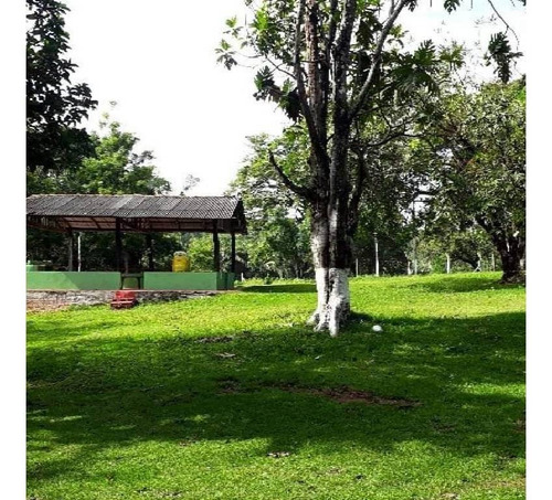 Imagem 18 de 25 de Lindo Balneário Em Nobres - 23091