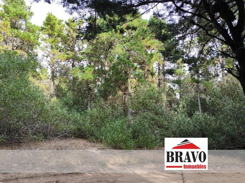 Imagen 1 de 6 de Dos Lotes De 1.350 M2 Totales, Venta Indval/block - Mar De Las Pampas | Cod.0688 |