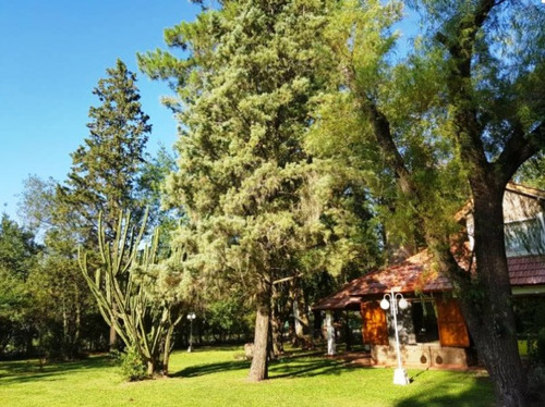 Imagen 3 de 18 de Casa Dos Dormitorios Funes