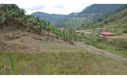 Lote En Venta En Jardín. Cod V50912