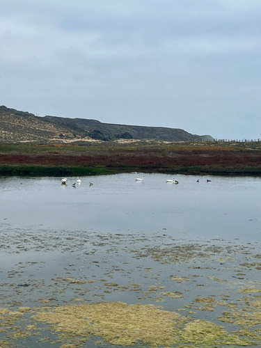 Sitio En Costa Huaquén, Oportunidad (69025)