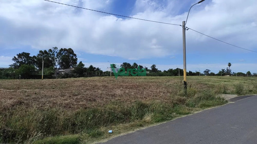 Terreno Esquina Alto Y Parejo. Apto Para 2 Casas