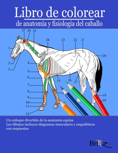 Livro: Livro Para Colorir De Anatomia E Fisiologia Do Cavalo