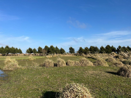 Venta Chacra La Mansa