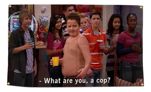 Funny Flag Gibby What Are You, Cop? 3 X 5 Pies Cuatro O...