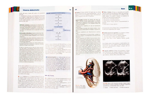 Anatomía Con Orientación Clínica Para Estudiantes Lippert