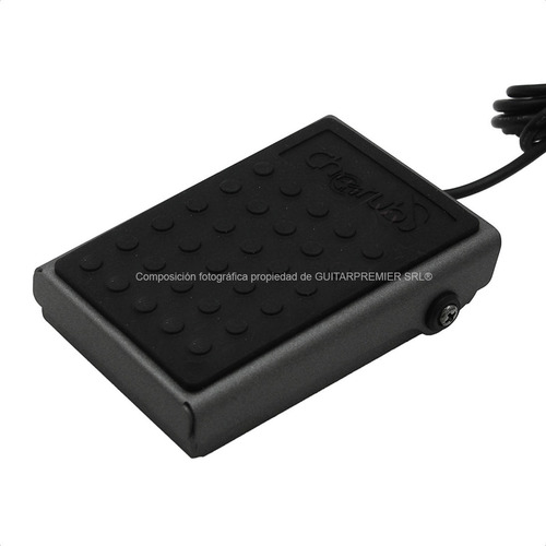 Imagen 6 de 8 de Pedal Sustain Para Teclado Organo Piano Profesional Garantia