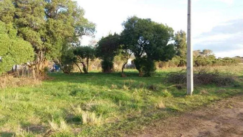 Terreno Venta - 25x26mts - 650mts2 Totales - Balcarce