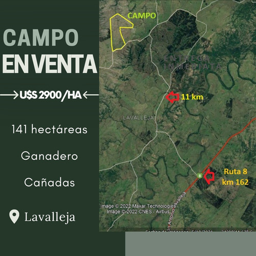 Campo De 141 Hectáreas En Lavalleja U$s 2900 Por Hectárea. Ganadero 