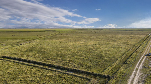 Venta Campo 740 Hás Rocha Agrícola Ganadero R 7085 (ref: Atm-7085)