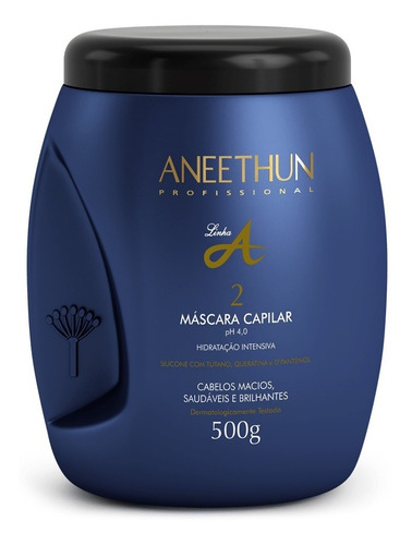 Máscara Capilar Linha A Aneethun 500g + Brinde