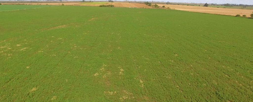Imagen 3 de 9 de 12 Hectáreas Agrícolas En Aldea San Antonio, Gualeguaychú.