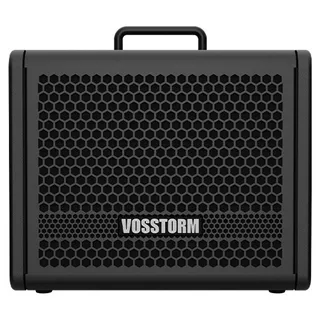 Amplificador Para Guitarra 8 Pol 25w Vosstorm Gx-8