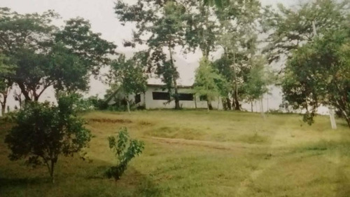 Finca En San Cristobal De 1370 Tareas Con Oro Tasada En 2 Millones Recibimos Permutas