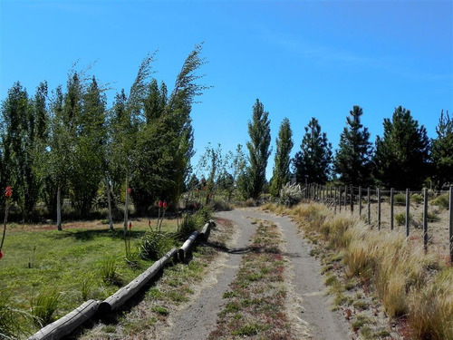 Excelente Fracción En Dina Huapi - Camino A Ñirihuau