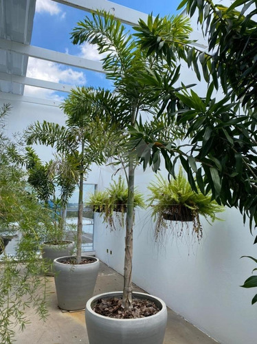 Imagem 24 de 30 de Galpão À Venda Em Jardim Santa Genebra - Ga035009