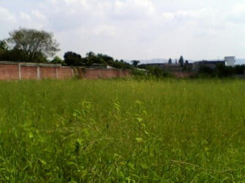 Imagen 6 de 6 de Terreno Comercial En Venta Acatlipa