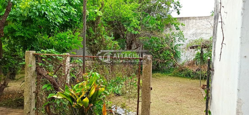 Imagen 6 de 17 de Local En Venta En San Antonio De Padua
