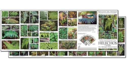 Colección Entera 9 Guías Fotog. De Naturaleza De La Patag.
