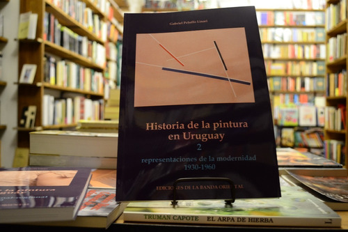 Historia De La Pintura En El Uruguay 2 Tomos Gabriel Peluffo