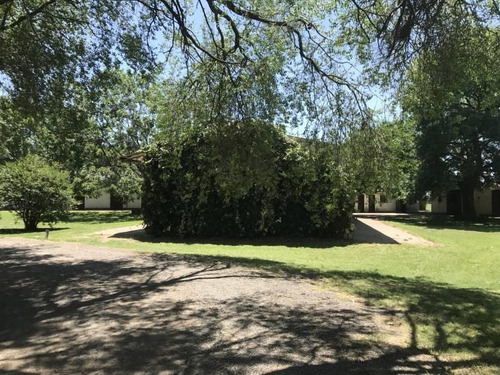 Oportunidad Única Venta De Campo Sobre Ruta Nacional 8 - Duggan, San Antonio De Areco - Mallmann Pro
