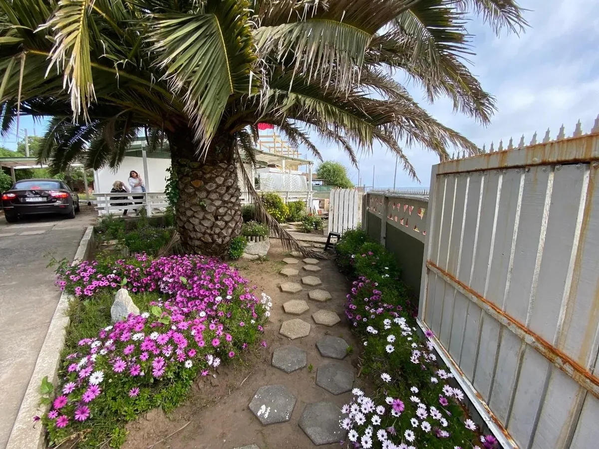 Imagen 4 de 18 de Casa Con Jardín En Playa La Castilla