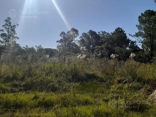 Excelente Terreno En Punta Negra