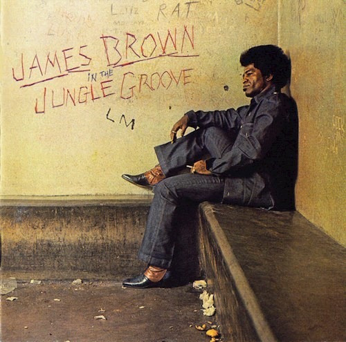 In The Jungle Groove - Brown James (cd)
