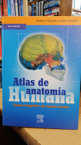 Atlas De Anatomia Humana 6 Ed