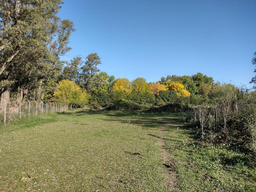 Imagen 10 de 21 de Terreno En Venta - La Lonja - Pilar