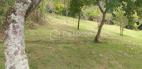 Imagem 10 de 16 de Chácara À Venda Em Joaquim Egídio - Ch007831