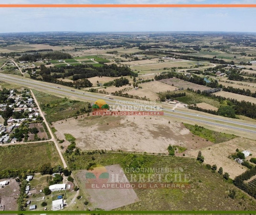 Imagen 13 de 14 de Terreno En Alquiler 44.857 M2 Urbanos Ruta 5 Apto Parque Industrial U$s 0.10 (el M2)
