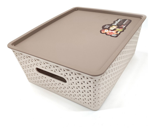 Caja Organizadora De Plástico, Con Tapa, 29x13x35cm