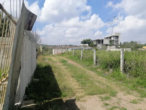 Imagen 2 de 2 de Terreno En Venta El Lencero