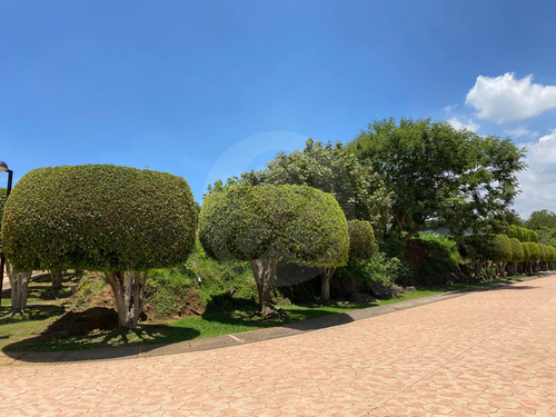 Terreno Residencial En Venta En Fraccionamiento La Herradura