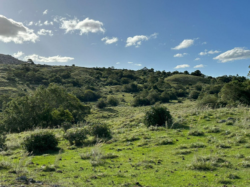 Imagen 14 de 16 de Campo En Venta (ref: Bpv-9121)